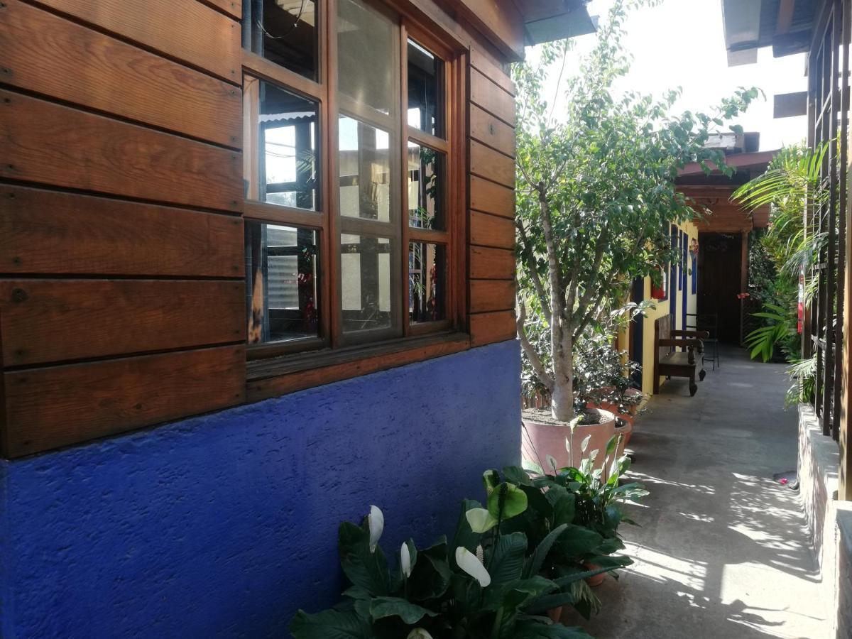 Yellow House Hostel B&B أنتيغوا غواتيمالا المظهر الخارجي الصورة