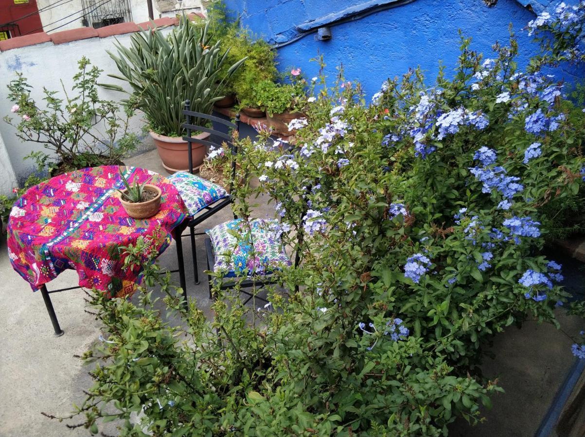 Yellow House Hostel B&B أنتيغوا غواتيمالا المظهر الخارجي الصورة